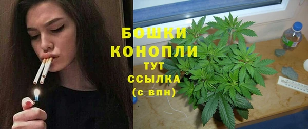 дмт Абаза