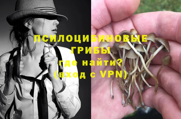 дмт Абаза