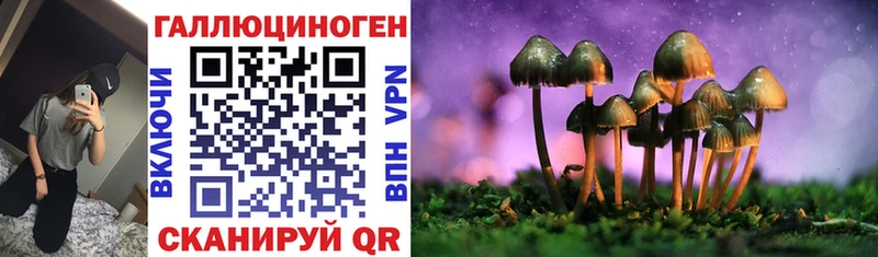 как найти закладки  darknet Telegram  Псилоцибиновые грибы Psilocybe  Ак-Довурак 